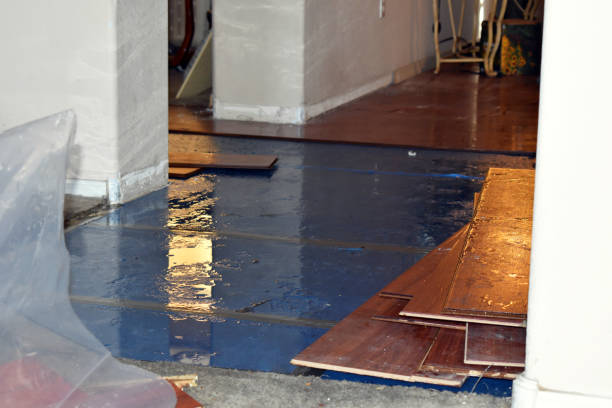 Professional Flood Cleanup technician working in Henrietta, MO