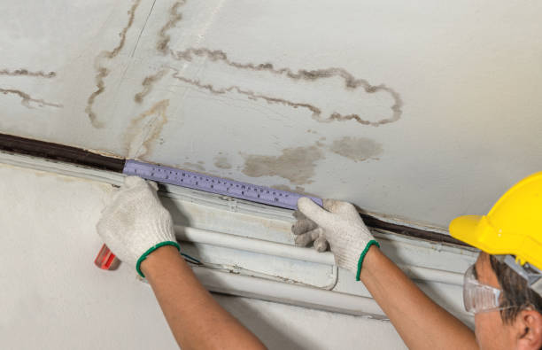 Reliable Flood Cleanup contractor in Henrietta, MO by Water Damage Irwin